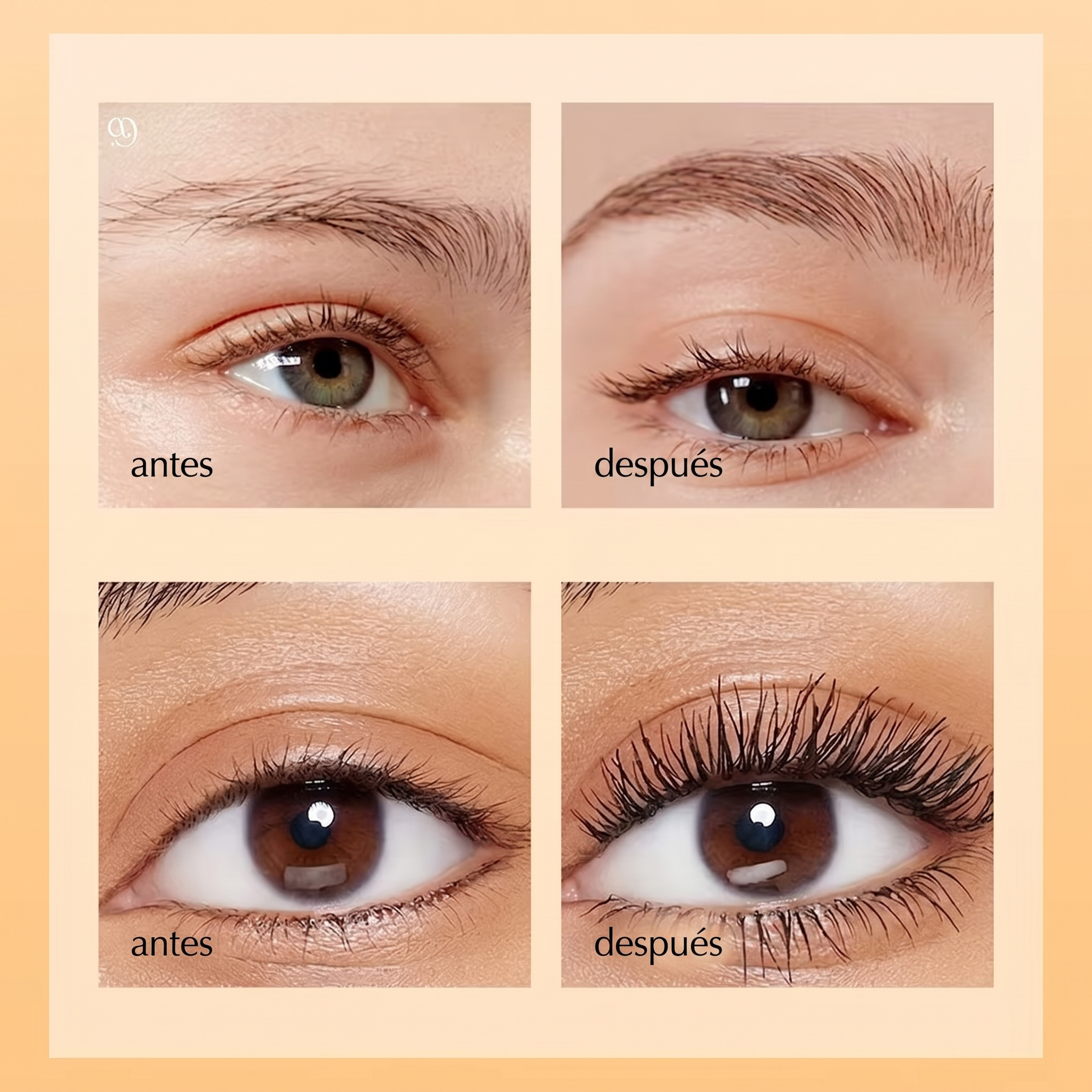 Sérum 2 en 1 Pestañas y Cejas | Alarga, Engrosa y Oscurece con Aceite de Ricino Vegano